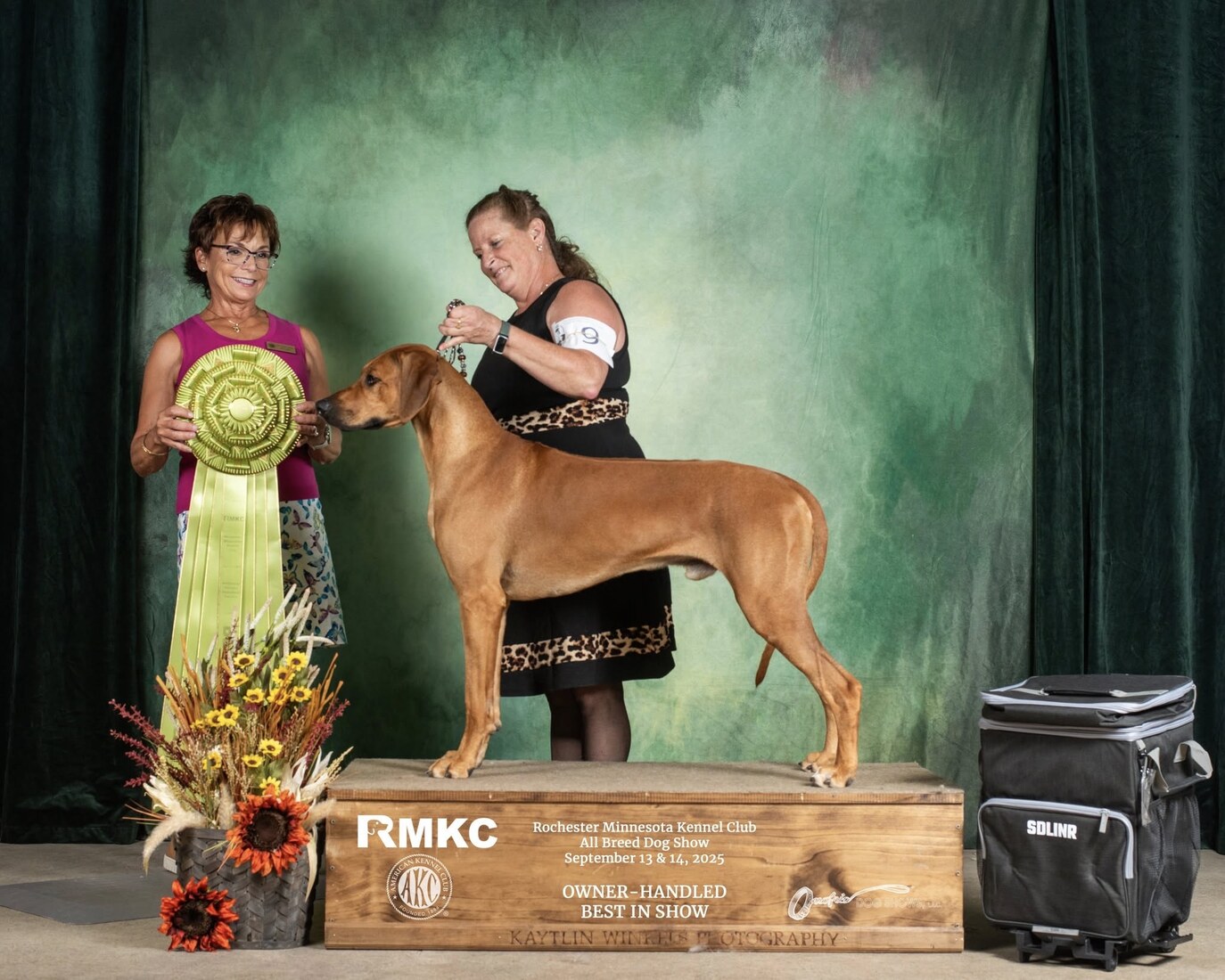 Hilltop's Feeling a Little Boozie O Pupukearidge (Kahlua)